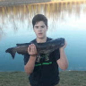 Meet your Posher, Preston